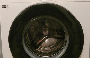 Ferienwohnung Lemon Grass - Lindau - Foto 35