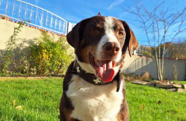 Villa Lebensgrund - Foto 18