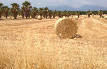 Il Filo di Arianna Cottage di Campagna - Photo 52