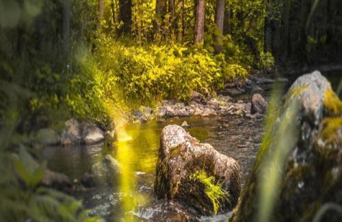 Neumagen-Dhron Retreat - Foto 19