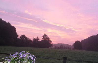 Stadt trifft Land - Foto 8