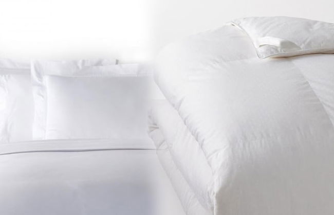 7 Room Saddlebrook Golf SPA Villa 5BR 4BA - Photo 65