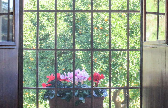 Antica Cantina Emilia - Foto 19