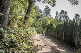 Behagliches Cottage zum Kuscheln und Entspannen - Foto 40