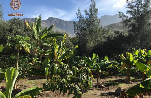 Redondo de Guayedra - Foto 13