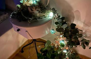 Blue Meadow - Foto 51