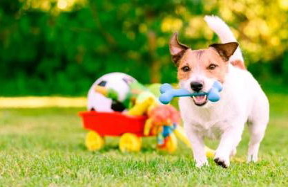 Charme na Serra!Piscina,Spa aquecido e fire place! - Foto 12