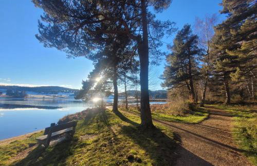 Gîtes de Charme 6 ou 8 personnes en Aubrac chez Sébastien & Stéphanie - Foto 54