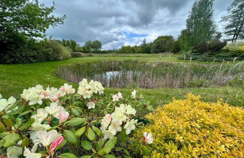 Villa Otolice obok Łowicza, 6 sypialni, balia, sauna, basen, snooker, 50 minut od Warszawy i Łodzi - Foto 41