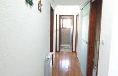 Caldas da Rainha's Green & Brown - Foto 8