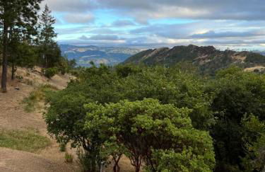 Old Toll Road Inn - Foto 8