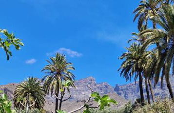 Ferienwohnung mit Panoramablick in der Finca Gran Calma - ideal für Wanderer - Foto 17