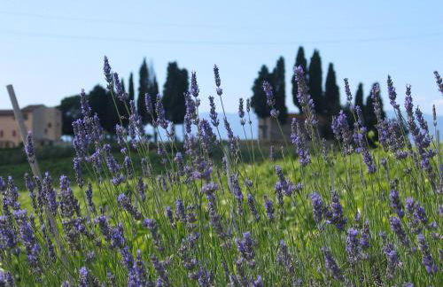Agriturismo Corte in Poggio - Foto 56