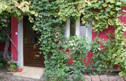 Winzeranwesen - Weingut Christian Eberley- FeWo II MINDESTAUFENTHALT 4 NÄCHTE - MINIMUM STAY 4 NIGHTS - Foto 1