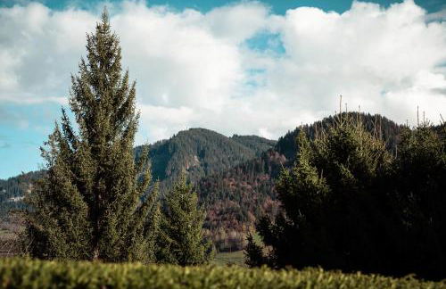 Apartment - Le Cerf Blanc - Foto 17