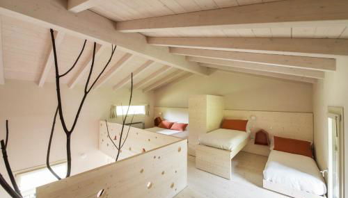 Quader nidi nel verde - Foto 3