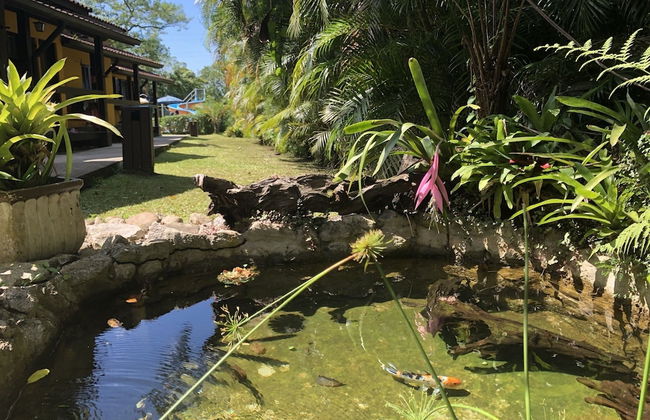 Hotel Bosques do Massaguaçu - Foto 68