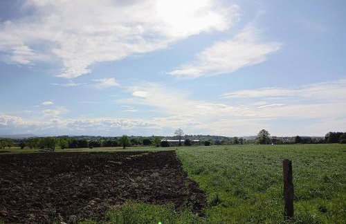 El Pinar de Arna - Photo 64