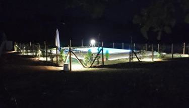 Viale dei Ciliegi - Foto 5