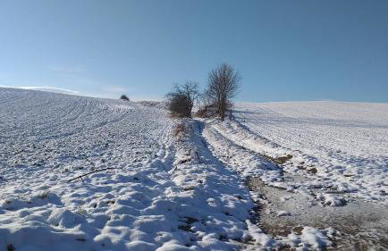 Dom Pod Złotym Bażantem - Foto 10