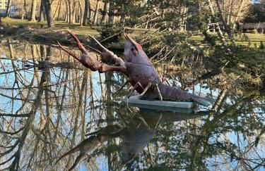 El Balcón de San Juan - Foto 14