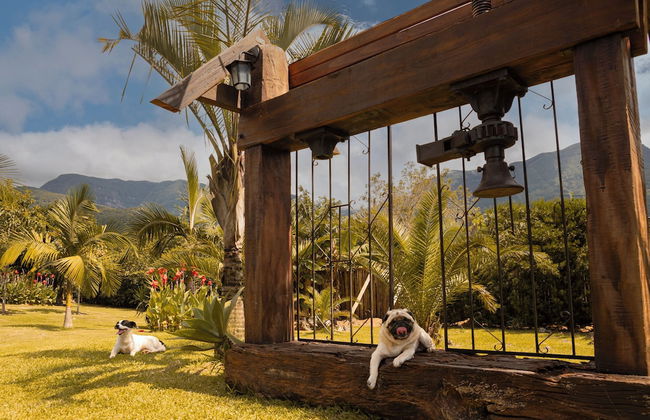 Cabanas Jardim dos Canyons - Foto 40