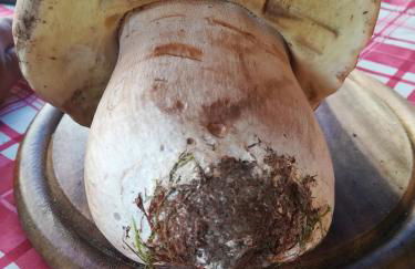 Civico 10 - Photo 27