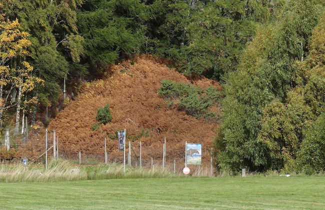 Shetland Cottage - Foto 19