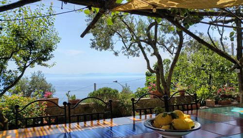 Amalfi Coast, Positano, Sorrento, Capri, Garden, Villa Carcara - Foto 5