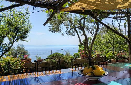 Amalfi Coast, Positano, Sorrento, Capri, Garden, Villa Carcara - Foto 5