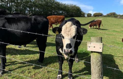 The Farmhouse, Fowey - Foto 18