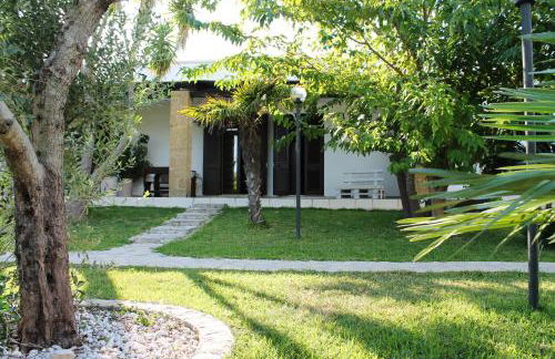 Vecchio Ulivo - Foto 13