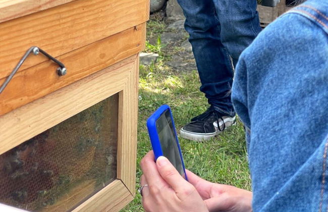 Visita a una granja de abejas con degustación de miel - Foto 6