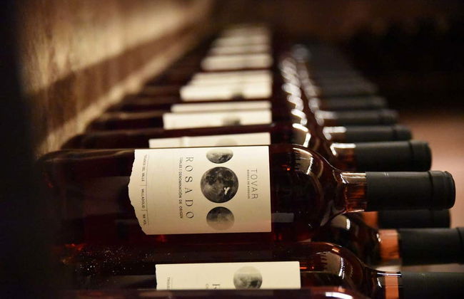 Visite de la Bodega Tovar - Photo 6