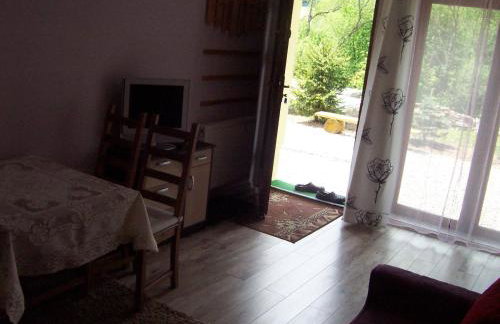 Apartamenty Dzika Orlica - Foto 79