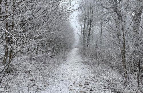 Bucket List Views Sugar Mountain Private Condo - 2bed, 2bath, Sleeps 6, Panoramic Views of Mountains from Large Deck, Short Drive to Shopping, Restaurants, Cafes & Banner Elk Town - Foto 50