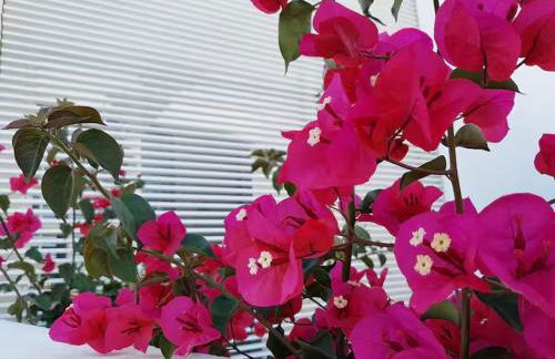 Exclusiva casa con encanto en Agua Amarga - Foto 16