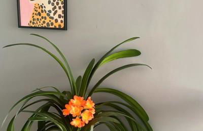 No24Sandbach - Home from Home - Exclusive Dog Friendly House & Garden - Photo 73