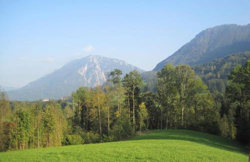 Almbauernhof - Foto 24