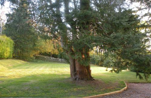 Thistle House Guest House - Foto 14