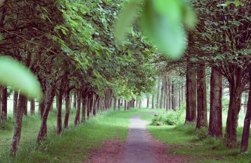 Bridge View - Foto 21