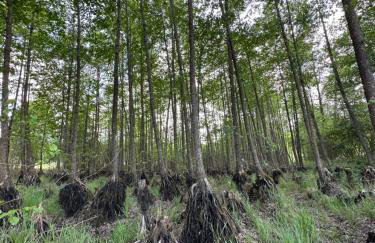 Stajnia Lipowo 45 - Foto 21