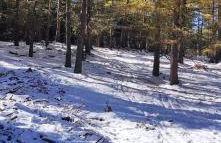 Apt confortable au pied des pistes et de la forêt - Foto 52