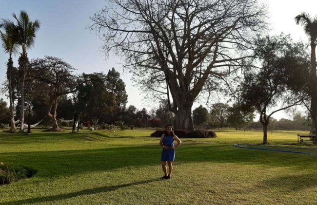 Tour por Chincha - Foto 3