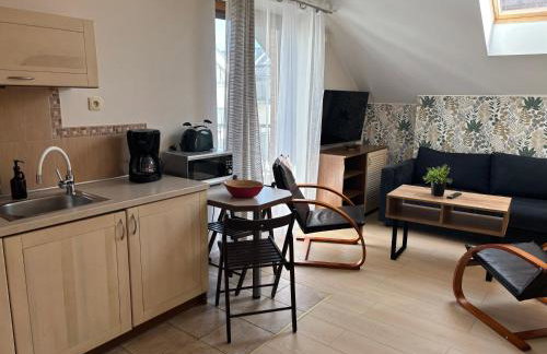 Apartamenty LeVilla - Photo 15