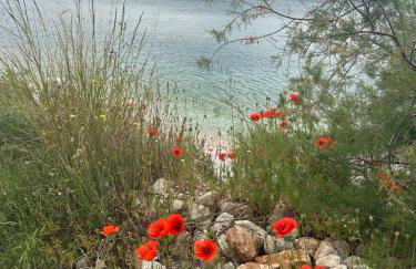 ADRIA MIRIS apartments - Photo 36