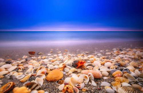 4br Private Guest Suite Pool PGA Beaches - Foto 58