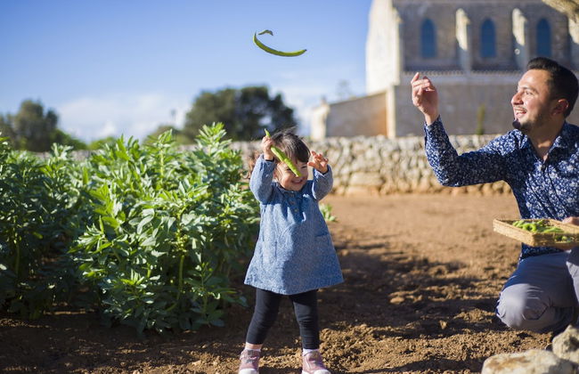 Agroturismo Llucmaçanes Gran - Foto 40