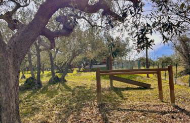 oasi macerina - Foto 53