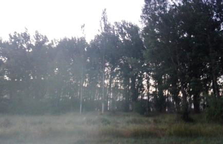 Montaña & relax - Foto 8